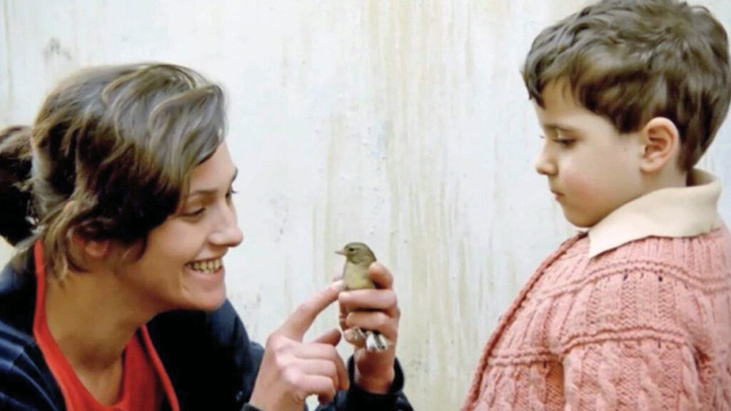 Ucurtmayi Vurmasinlar